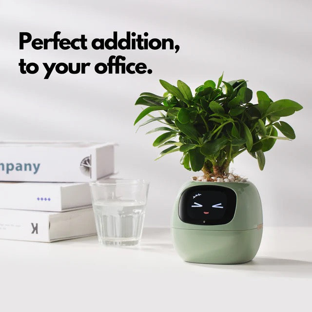 PlantPal AI™ Smart Pot