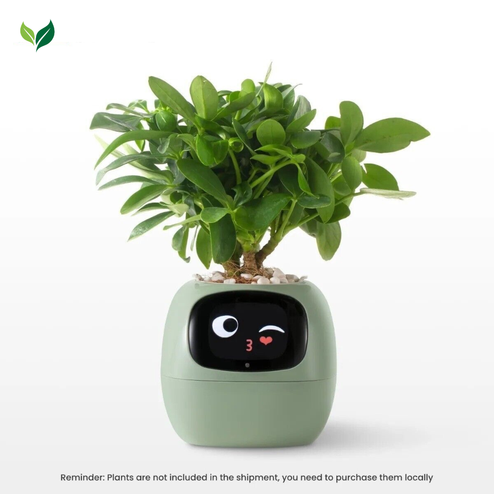 PlantPal AI™ Smart Pot